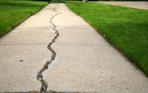 Nationalism: Where the Sidewalk Ends – Jesse Weissman